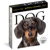 2027 Calendar Page-A-Day Gallery Dog Day-to-Day Boxed, Workman