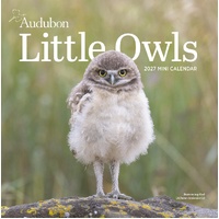 2027 Calendar Audubon Little Owls Mini Wall, Workman