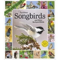 2027 Calendar Picture-A-Day Audubon Songbirds And Other Backyard Birds Vertical Wall, Workman