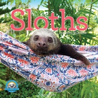2027 Calendar The Original Sloths Mini Wall, Workman