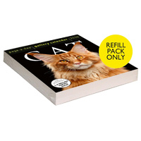 2026 Refill Cat Page-A-Day Gallery Boxed, Workman