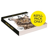 2027 Calendar Refill Page-A-Day Gallery Cat Day-to-Day Boxed, Workman