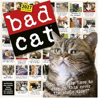 2027 Calendar Bad Cat Square Wall, Workman