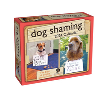 2024 Calendar Dog Shaming Day-to-Day Boxed Andrews McMeel AM81238