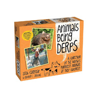2026 Calendar Animals Being Derps Day-to-Day Boxed, Andrews McMeel AM98083