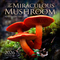 2026 Calendar The Miraculous Mushroom with Fabulous Fungi Facts Square Wall, Amber Lotus AM98939