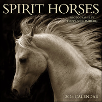 2026 Calendar Spirit Horses Square Wall, Amber Lotus AM99066