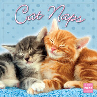2022 Calendar Cat Naps Square Wall by Browntrout S12284