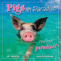 2022 Calendar Pigs in Paradise 16-Month Square Wall by Sellers S12604