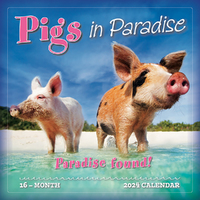 2024 Calendar Pigs in Paradise 16-Month Square Wall Sellers Publishing S36174