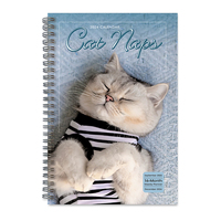 2024 Planner Cat Naps 16-Month Weekly Sellers Publishing S36808