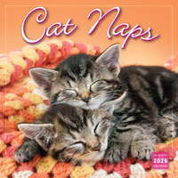 2026 Calendar Cat Naps 16-Month Square Wall, Sellers S43097