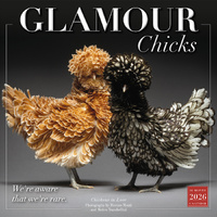 2026 Calendar Glamour Chicks 16-Month Square Wall, Sellers S43264