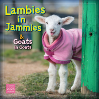 2026 Calendar Lambies In Jammies & Goats in Coats 16-Month Square Wall, Sellers S43349