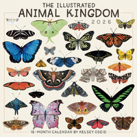 2026 Calendar The Illustrated Animal Kingdom 16-Month Square Wall, Sellers S43646