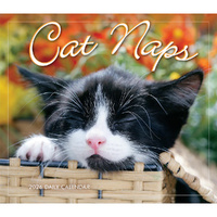 2026 Calendar Cat Naps Day-to-Day Boxed, Sellers S44155