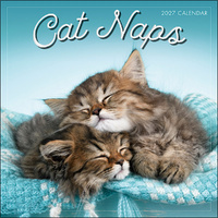 2027 16-Month Calendar Cat Naps Square Wall, Sellers S61091