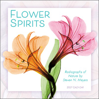 2027 16-Month Calendar Flower Spirits: Radiographs of Nature Square Wall, Sellers S61268