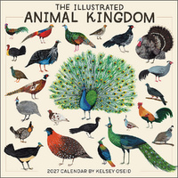 2027 16-Month Calendar The Illustrated Animal Kingdom Kelsey Oseid Square Wall, Sellers S61329