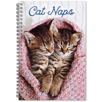 2027 Planner Cat Naps Desk Week to View, Sellers S61985