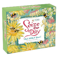 2027 Calendar Seize the Day and Make it Yours Day-to-Day Boxed, Sellers S62340
