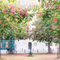 2026 Calendar A Parisian Life 16-Month Square Wall, Graphique de France GF44452