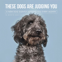 2026 Calendar Judging Dogs 16-Month Square Wall, Graphique de France GF44513