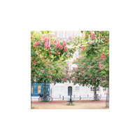 2027 16-Month Calendar A Parisian Life Mini Wall, Graphique GF45428