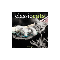 2027 16-Month Calendar Classic Cats Square Wall, Graphique GF45824