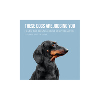 2027 16-Month Calendar Judgmental Dogs Square Wall, Graphique GF46142