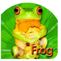 Steve Parish Board Book: Australian Wildlife, Frog