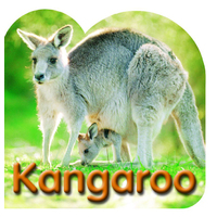 Steve Parish Board Book: Australian Wildlife, Kangaroo