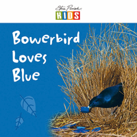 Steve Parish Early Reader Bowerbird Loves Blue Paperback