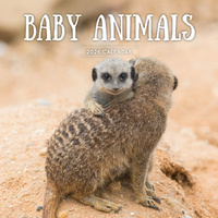 2026 Calendar Baby Animals Square Wall Paper Pocket CAB3