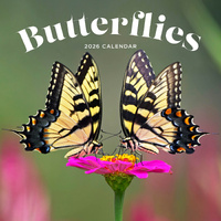 2026 Calendar Butterflies Square Wall Paper Pocket CAB8