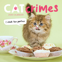 2026 Calendar Cat Crimes Square Wall Paper Pocket CAB9