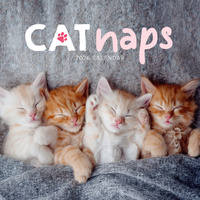 2026 Calendar Cat Naps Square Wall Paper Pocket CAB03