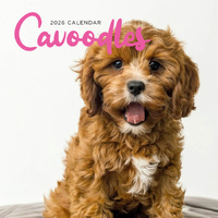 2026 Calendar Cavoodles Square Wall Paper Pocket CAB44