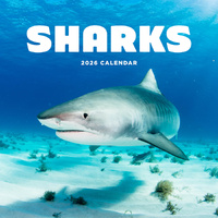 2026 Calendar Sharks Square Wall Paper Pocket CAB59