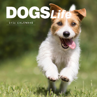 2026 Calendar Dogs Life Square Wall Paper Pocket CAB12
