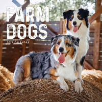 2026 Calendar Farm Dogs Square Wall Paper Pocket CAB38
