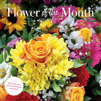 2026 Calendar Flower Of The Month Square Wall Paper Pocket CPB8