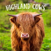 2026 Calendar Highland Cows Square Wall Paper Pocket CAB21