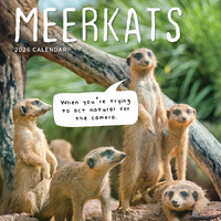 2026 Calendar Meerkats Square Wall Paper Pocket CAB24