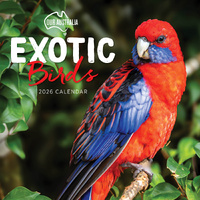 2026 Calendar Our Australia Exotic Birds Square Wall Paper Pocket COB9