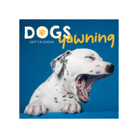 2027 Calendar Dogs Yawning Square Wall, Paper Pocket CAB63