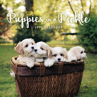 2026 Calendar Puppies In A Pickle Square Wall Paper Pocket CAB27