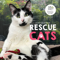 2026 Calendar Rescue Cats Square Wall Paper Pocket CAB49