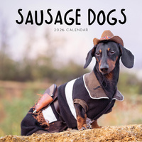 2026 Calendar Sausage Dogs Square Wall Paper Pocket CAB29