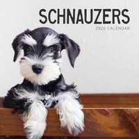 2026 Calendar Schnauzers Square Wall Paper Pocket CAB06